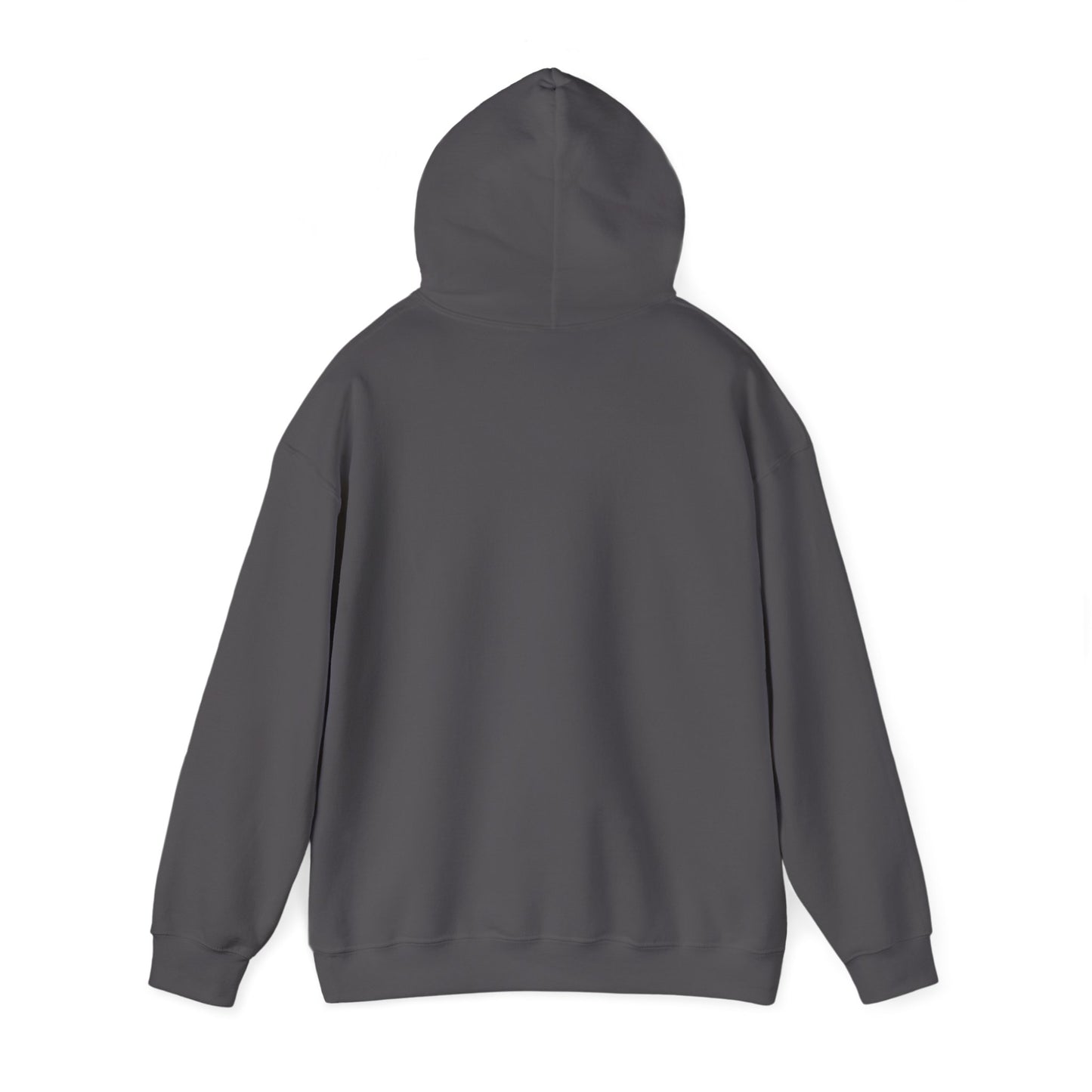 Senior Class 2025 Hooded Sweatshirt