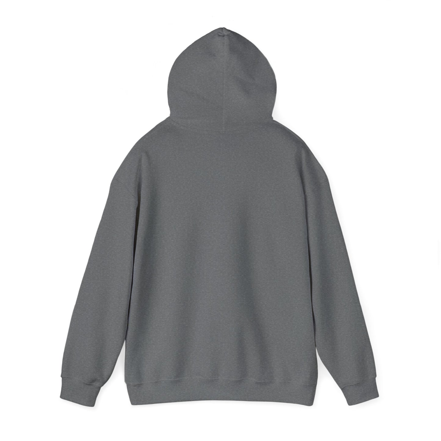 Senior Class 2025 Hooded Sweatshirt