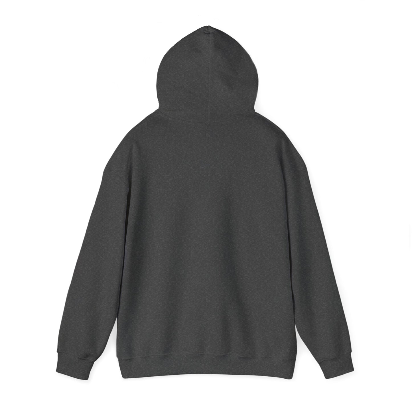 Senior Class of 2025 Hooded Sweatshirt