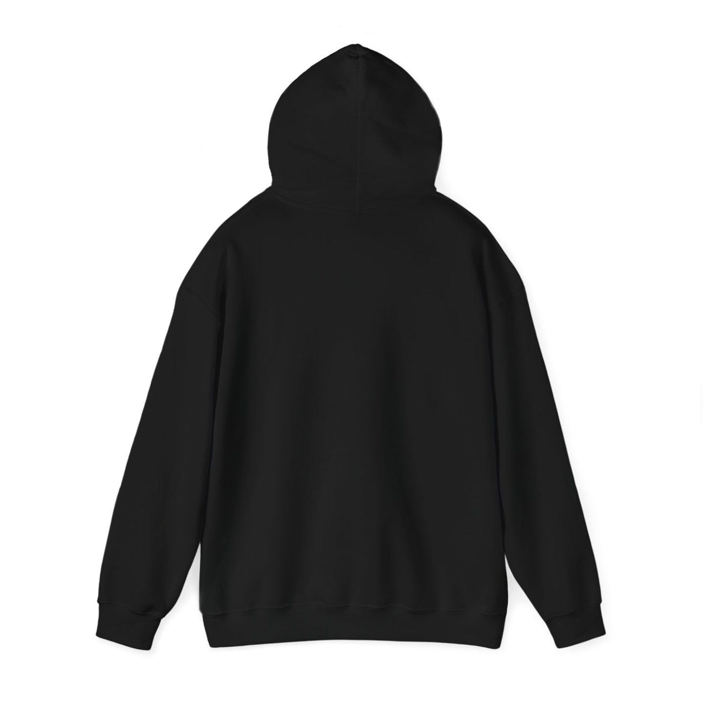 Senior Class 2025 Hooded Sweatshirt